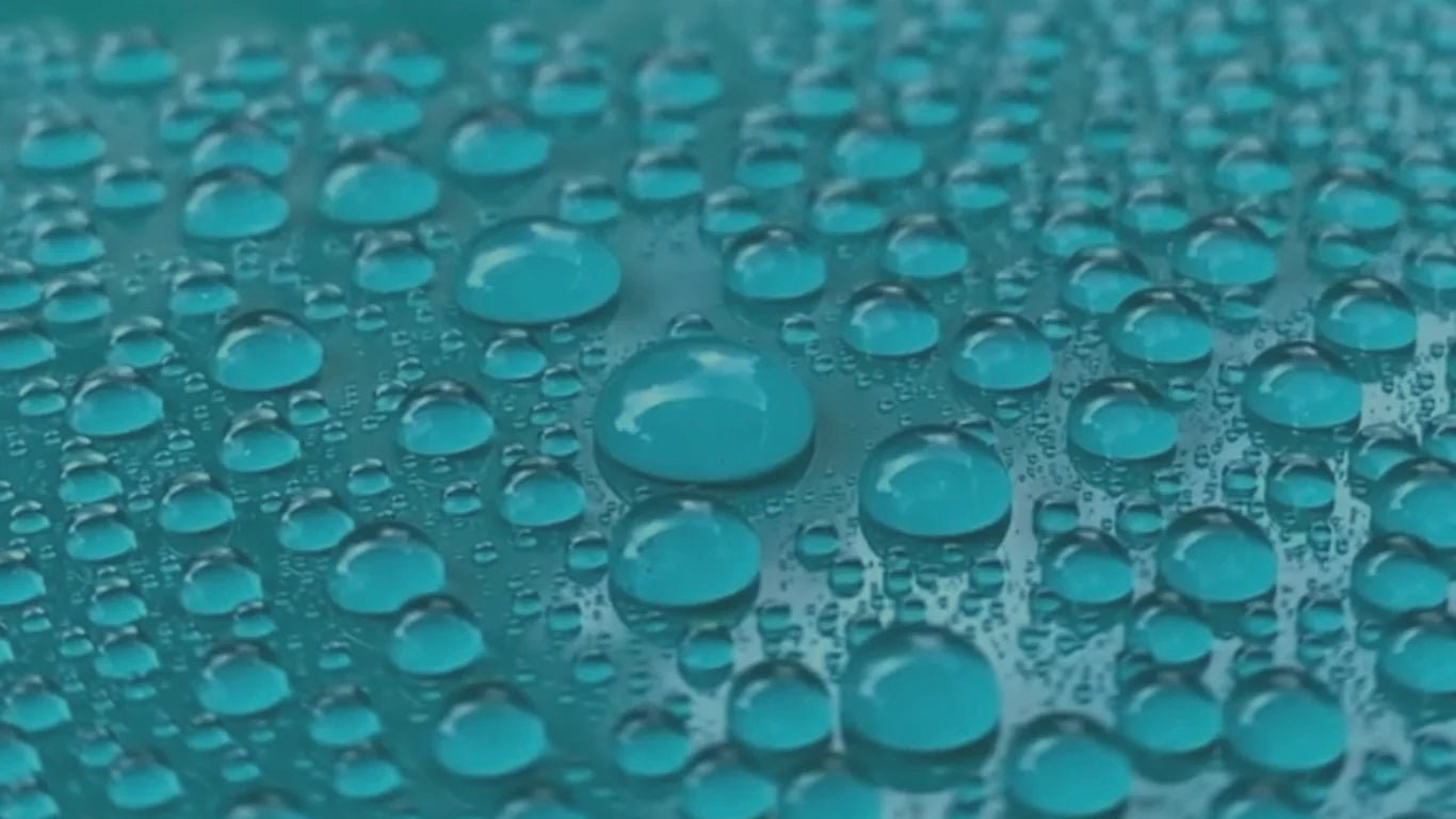 Swippy Ceramic Carnauba Wax – Extreme Beading - De Detailshop
