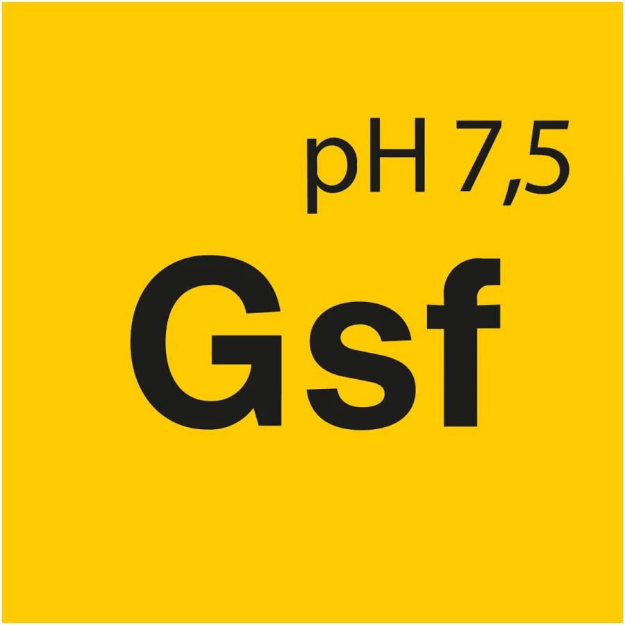 Productdetail van Koch Chemie Gentle Snow Foam GSF