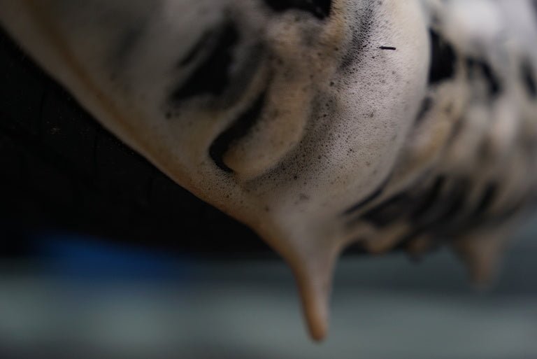 Vonixx Delet | Kunststof & Rubber reiniger - De Detailshop